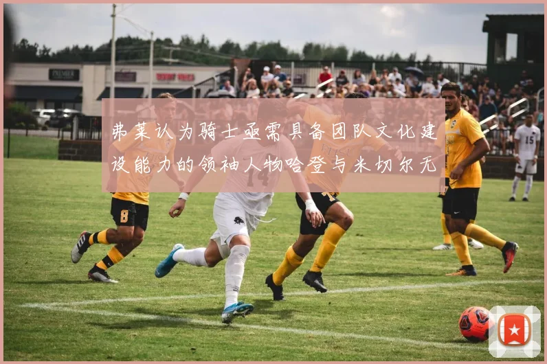 弗莱认为骑士亟需具备团队文化建设能力的领袖人物哈登与米切尔无法胜任
